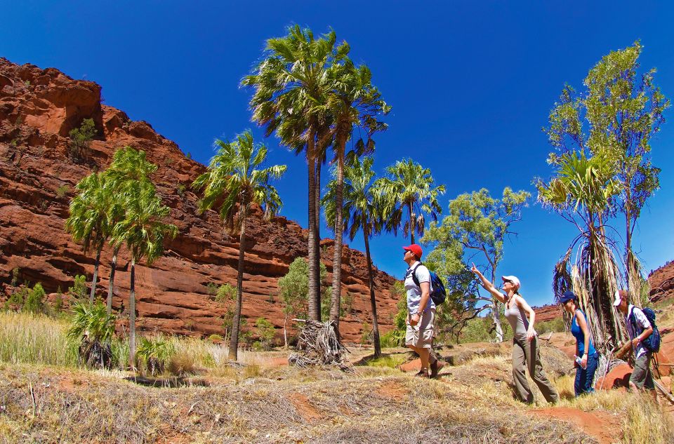 From Alice Springs: Palm Valley 4WD Outback Safari + Picnic - Recap