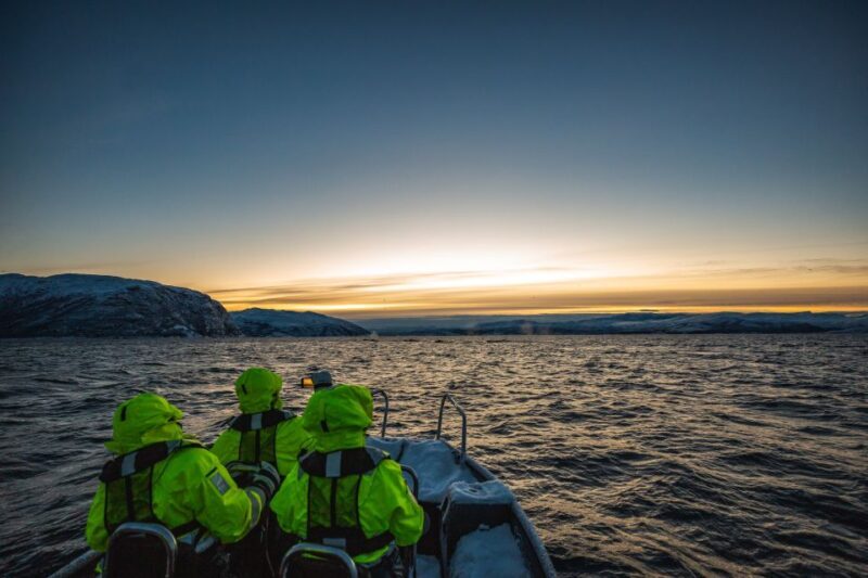 From Alta: Small Group Whale Watching by RIB - Itinerary Breakdown: What Makes Each Part Special