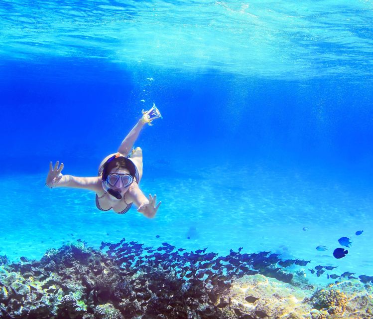 From Amalfi: Capri Island Boat Tour With Snorkeling & Drinks - Explore Enchanting Grottoes