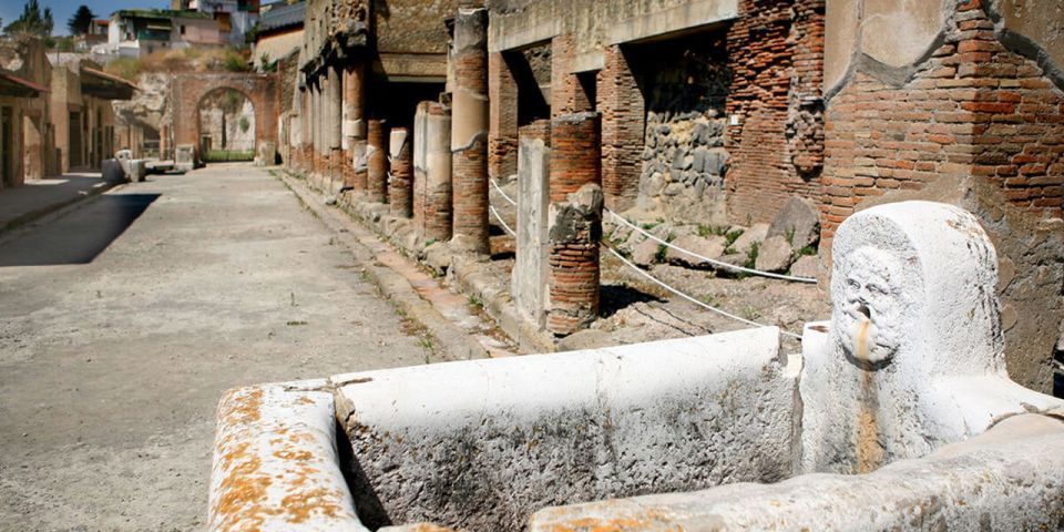 From Amalfi Coast: Pompeii Herculaneum Skip-The-Line - Small Group Tour
