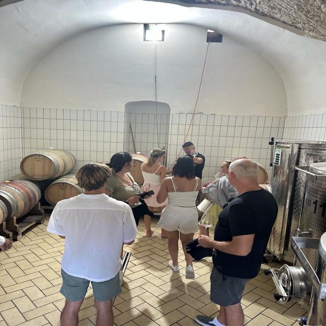 From Amalfi Coast: Private Luxury Tour Pompei ,Winery - Pricing and Duration