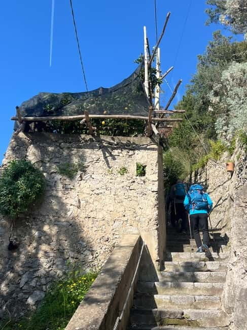 From Amalfi: Lemon Tour with Tasting Session and Transfer - What to Expect and What Not