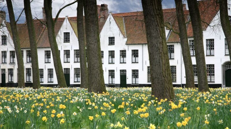 From Amsterdam: Bruges Guided Day Trip in English - Free Time to Indulge and Explore