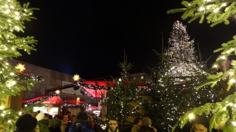 From Amsterdam: Cologne in Germany Day Tour - Who This Tour Is Best For
