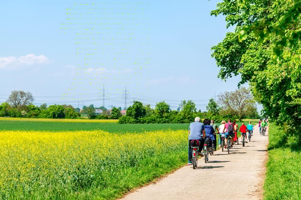 From Amsterdam: Countryside Bike Tour with Cheese Tasting - Key Points