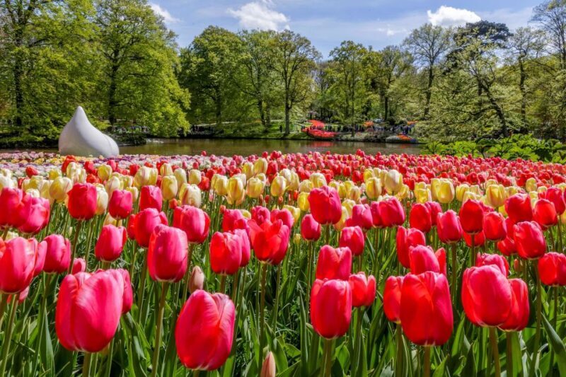 From Amsterdam: Keukenhof and Dutch Countryside Tour - An In-Depth Look at the Tour