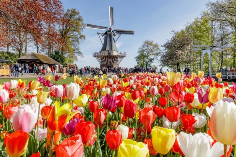 From Amsterdam: Keukenhof and Dutch Countryside Tour - FAQ