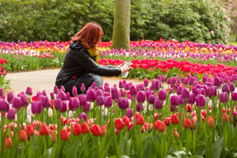 From Amsterdam: Keukenhof Flower Park Transfer & Ticket 2025 - Tour Inclusions