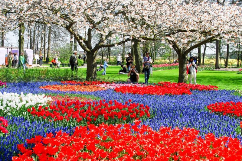 From Amsterdam: Keukenhof Flower Park Transfer & Ticket 2025 - Park Opening Dates