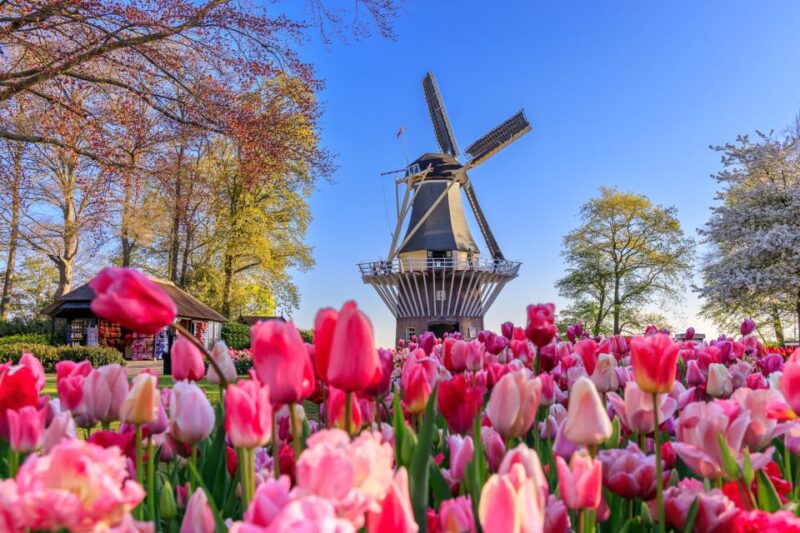 From Amsterdam: Keukenhof Flower Park Transfer & Ticket 2025 - Meeting Point Details