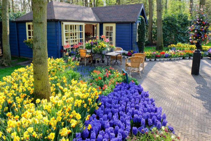 From Amsterdam: Keukenhof Flower Park Transfer & Ticket 2025 - Booking Information