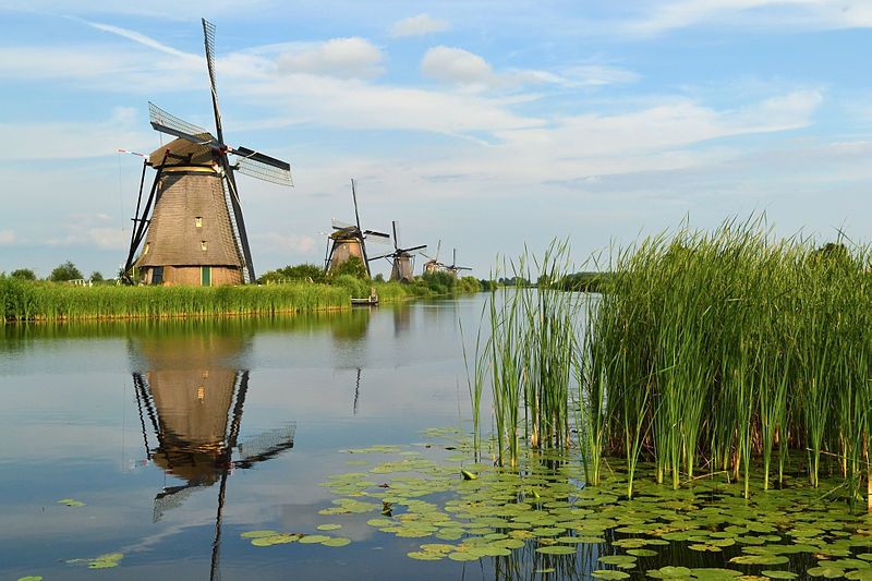 From Amsterdam: Kinderdijk and the Hague Tour With Museums - Tour Overview