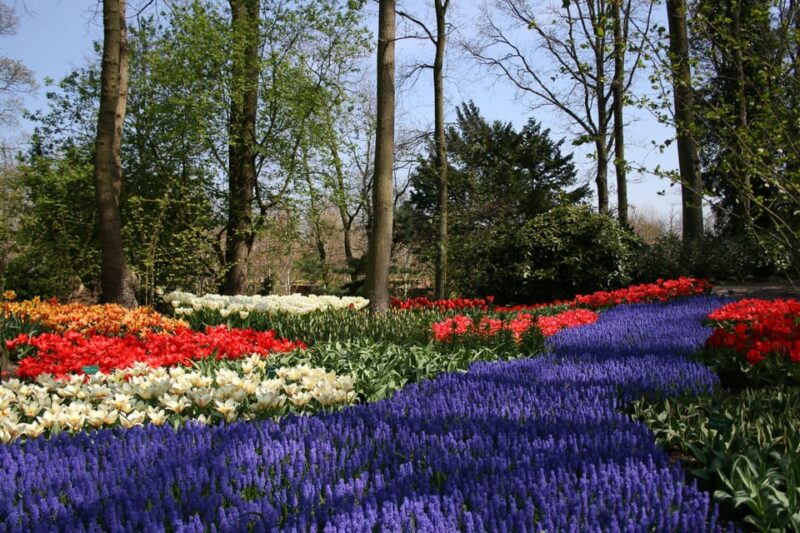 From Amsterdam: Private Day Trip to Keukenhof & De Tulperij - Tour Inclusions