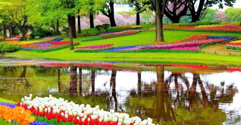 From Amsterdam: Private Keukenhof and Tulip Experience Tour - Transportation Details