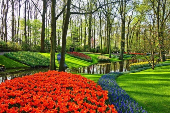 From Amsterdam: Private Keukenhof and Tulip Experience Tour - Frequently Asked Questions