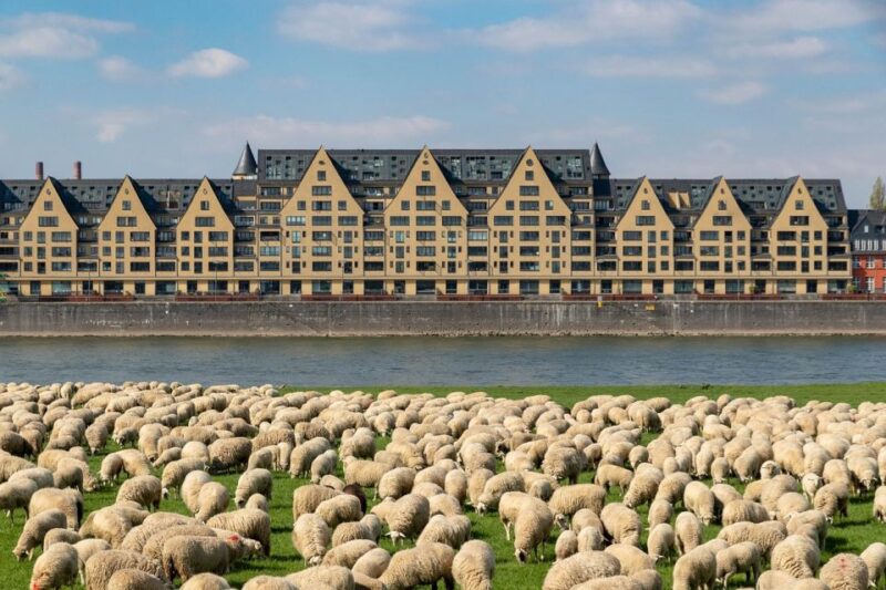 From Amsterdam: Private Sightseeing Day Trip to Cologne - Itinerary Breakdown