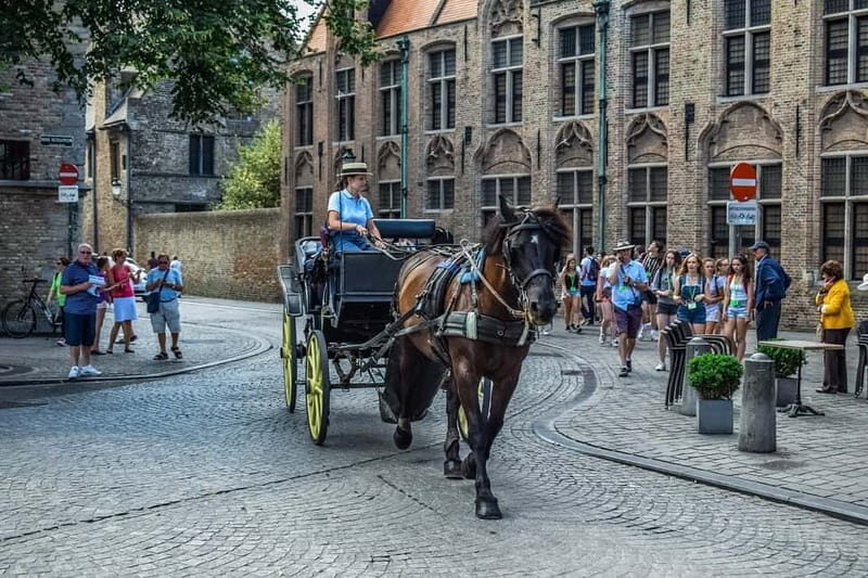 From Amsterdam: Private Sightseeing Tour to Bruges - What to Expect from the Experience