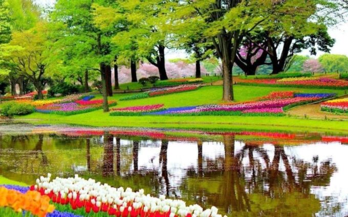 From Amsterdam: Private Tour to the Keukenhof and Madurodam - Customer Reviews