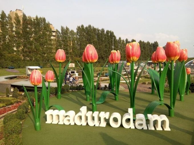 From Amsterdam: Private Tour to the Keukenhof and Madurodam - Travel Tips for Visitors