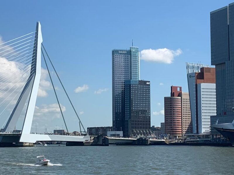 From Amsterdam: See Kinderdijk, Euromast, Delft and Den Haag - Meeting Point and Directions