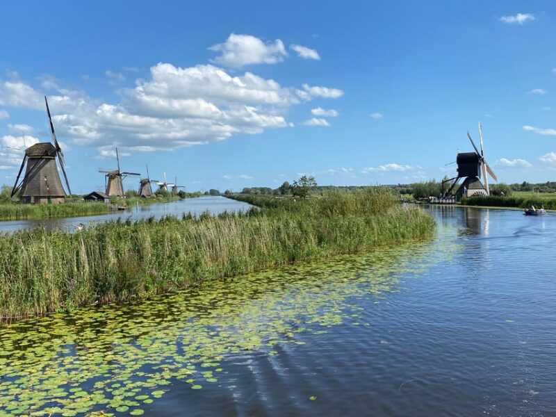 From Amsterdam: See Kinderdijk, Euromast, Delft and Den Haag - Customer Reviews