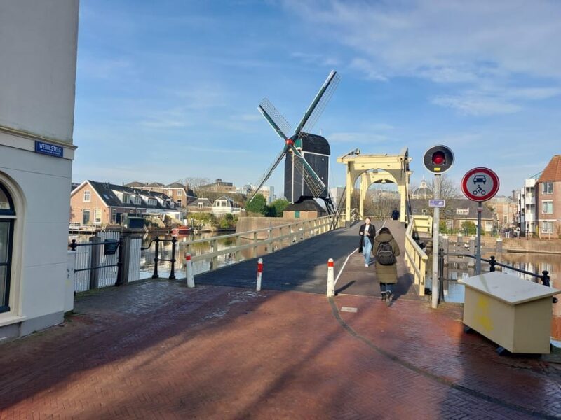From Amsterdam: The Hague and Leiden Private Half-Day Tour - Overall Experience and Recommendations