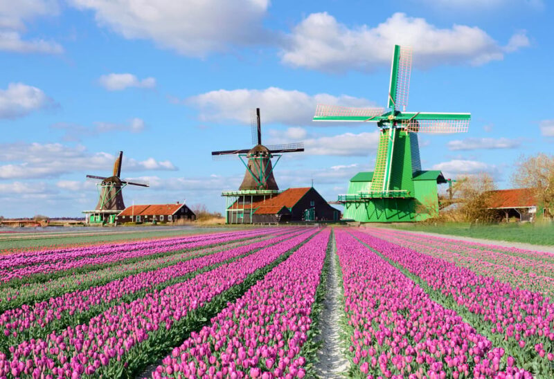 From Amsterdam: Zaanse Schans, Edam, Volendam, & Marken Tour - Itinerary Highlights
