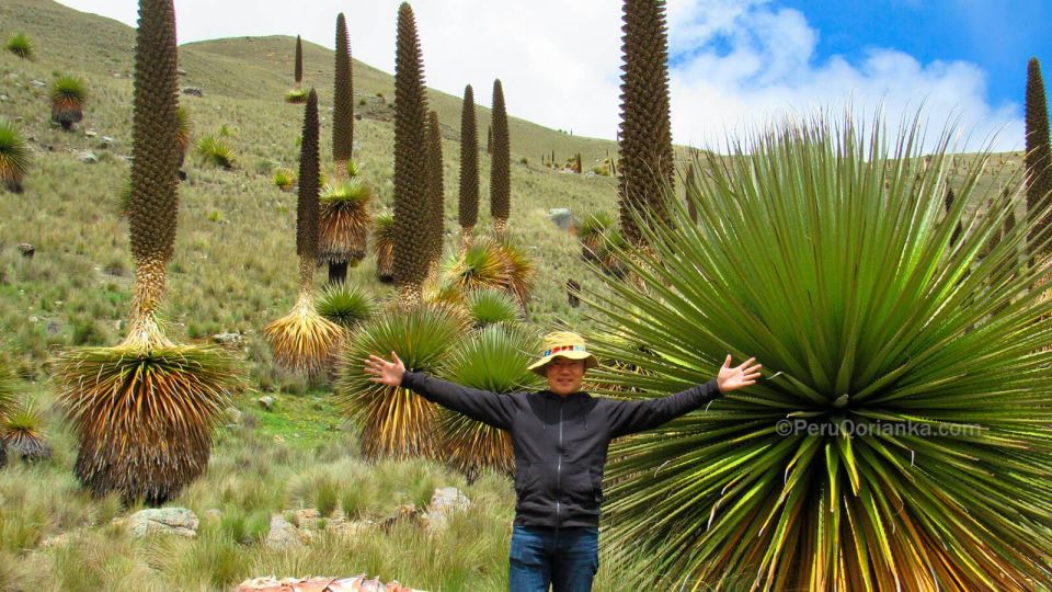 From Ancash: Fantastic Tour Huaraz/Nevado Pastoruri 4d/3n - Key Points