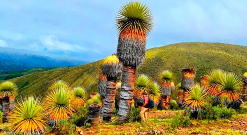From Ancash: Huaraz Millennial Paradise 3D/2N - Detailed Itinerary
