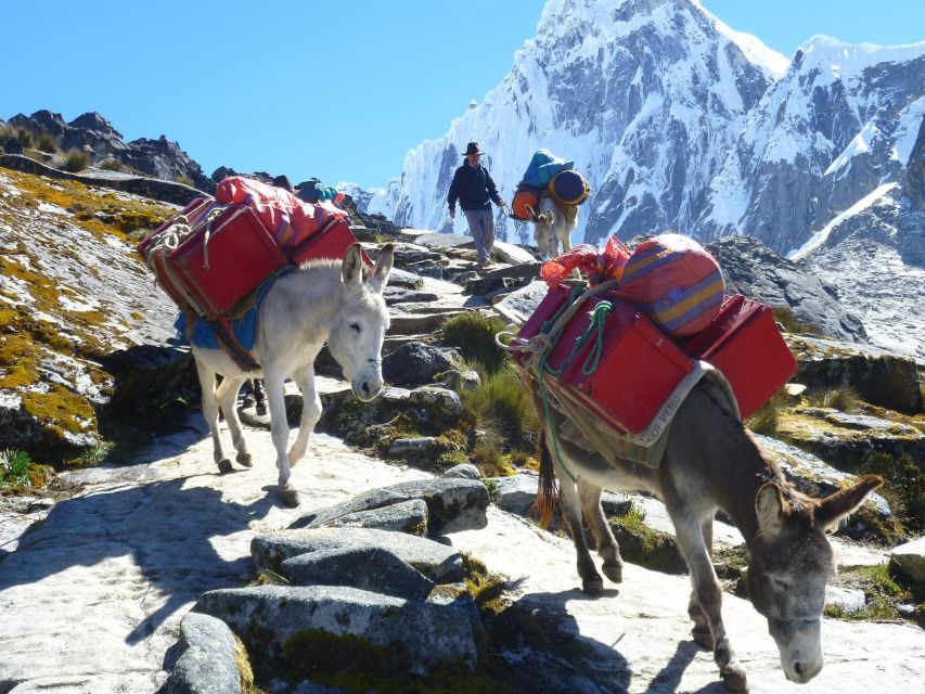 From Ancash: Trekking Santa Cruz/Llanganuco | 4 Days - 3 Nights | - Excluded Expenses