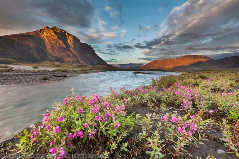 From Anchorage: 6-Day Best of Grand Alaska Highlights Tour - An In-Depth Look at the Tour