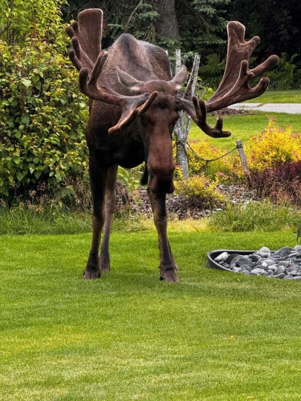 From Anchorage: 6-Day Best of Grand Alaska Highlights Tour - Final Thoughts: Who Is This Tour For?