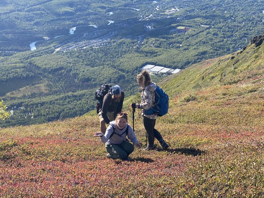 From Anchorage: Chugach State Park Guided Alpine Trek - Highlights of the Trek