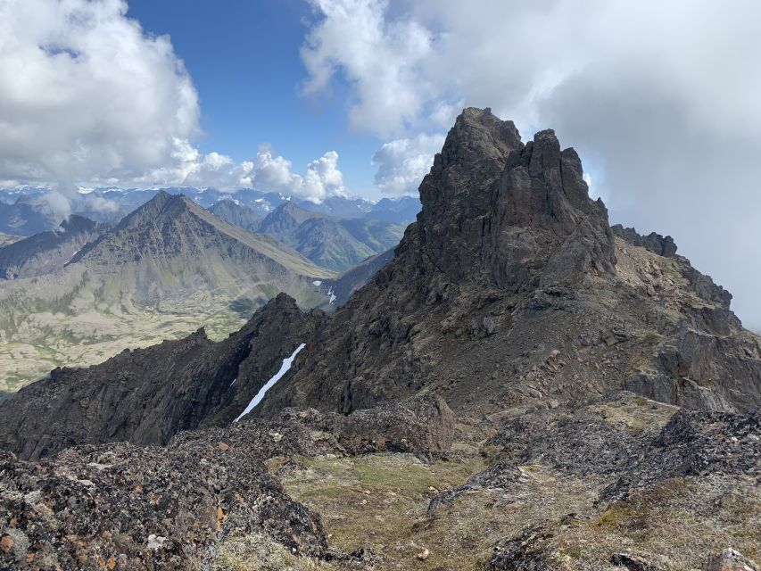 From Anchorage: Chugach State Park Guided Alpine Trek - Local Flora and Fauna