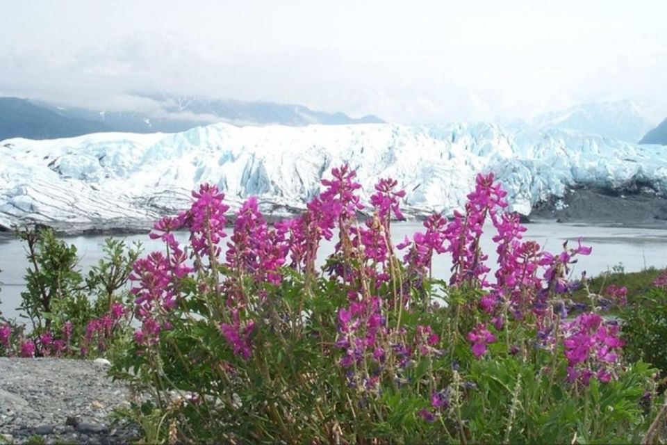 From Anchorage: Matanuska Glacier Winter Tour With Lunch - Meal and Refreshments