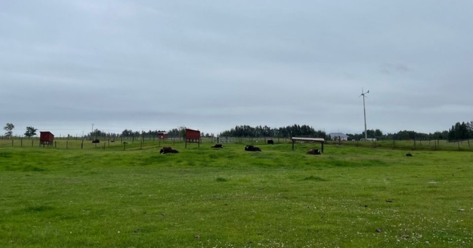 From Anchorage: Scenic Drive and Guided Musk Ox Farm Tour - Itinerary Details