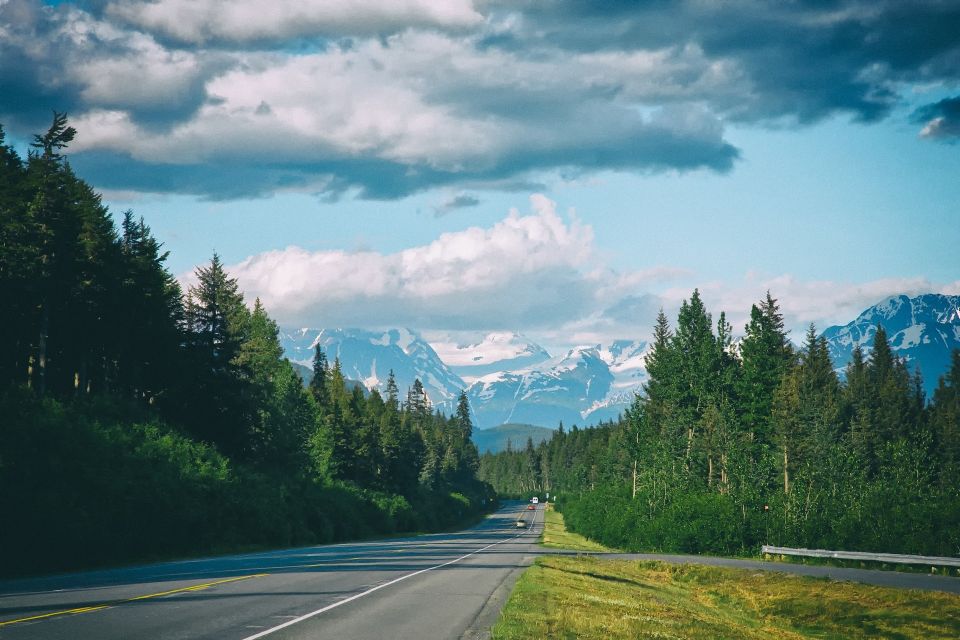 From Anchorage: Turnagain Arm and Wildlife Center Tour - Key Points