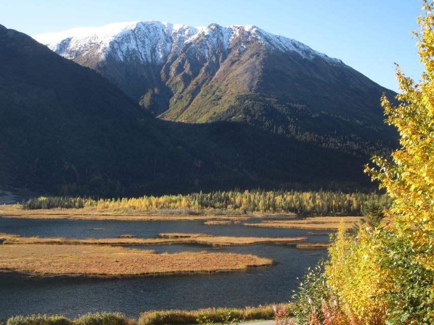 From Anchorage: Turnagain Arm and Wildlife Center Tour - Pickup and Dropoff