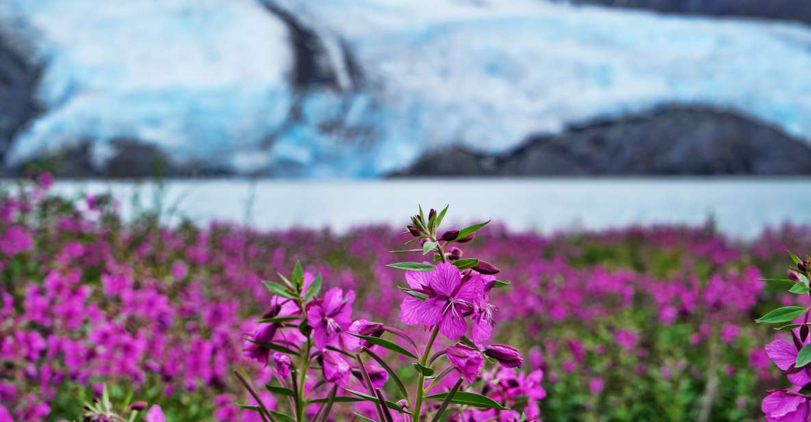 From Anchorage: Valley of Glaciers & Wildlife Center Tour - Frequently Asked Questions