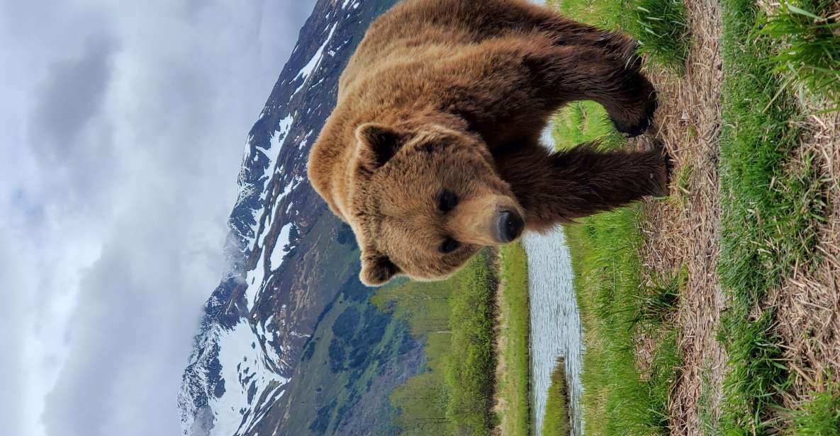 From Anchorage: Wilderness, Wildlife, & Glacier Experience - Exclusive Chugach Forest Access