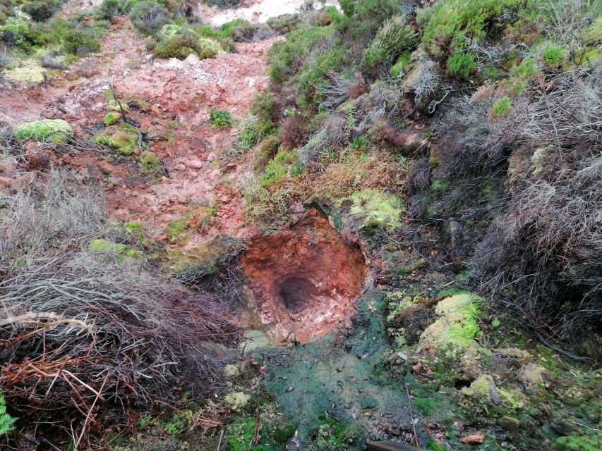 From Angra: 3-Hour Volcano Tour - Group Size