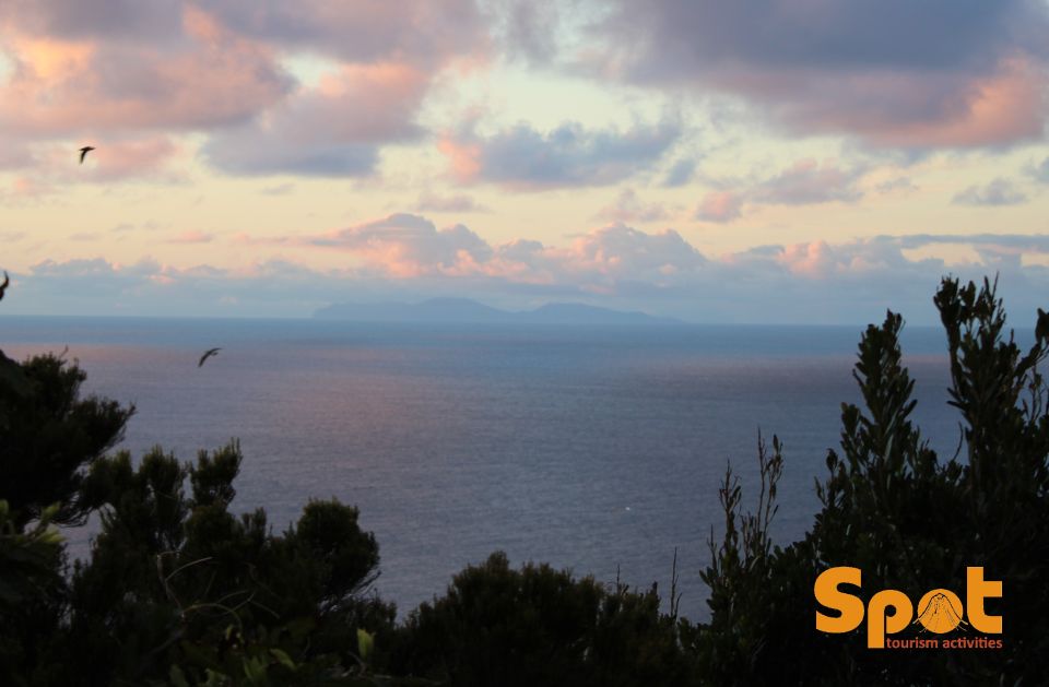 From Angra Do Heroísmo: Terceira Sunset With Local Products - Customer Reviews