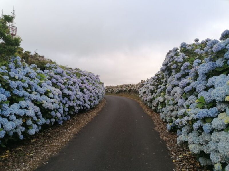 From Angra: Terceira Island Full-Day Tour - Authenticity and Guide Quality
