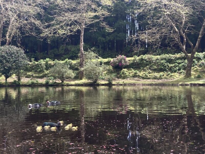 From Angra: Terceira Island Full-Day Tour - FAQ