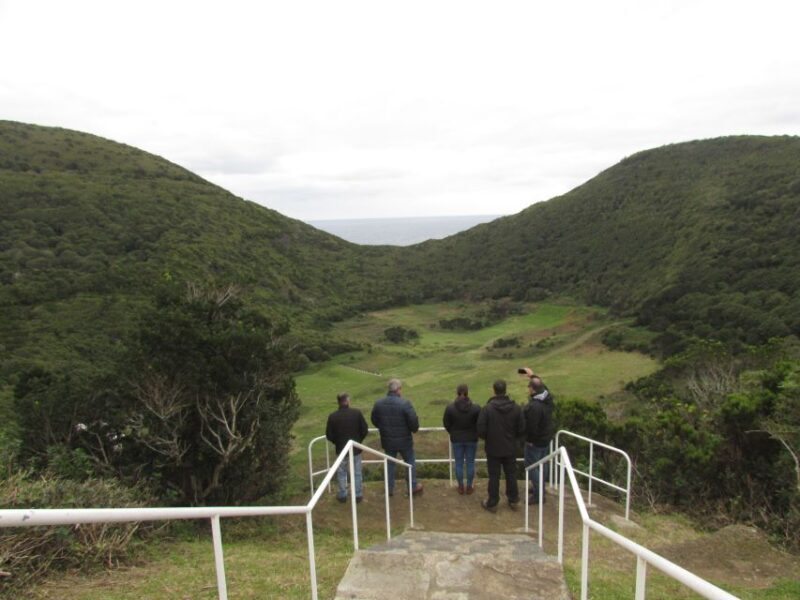 From Angra: Terceira Island Half-Day Tour (Shared Tour) - A Deep Dive into the Tour Experience