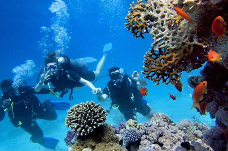 From Antalya: Scuba Diving With Lunch and Transfer - A Closer Look at the Tour Itinerary