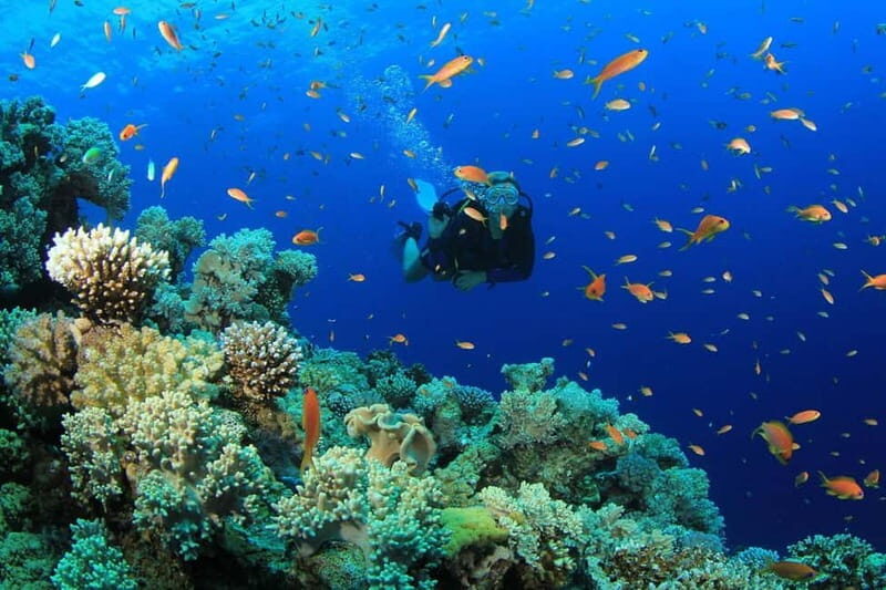 From Antalya: Scuba Diving With Lunch and Transfer - Final Thoughts: Who Should Consider This Tour?