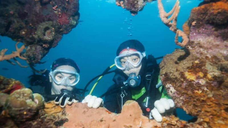 From Antalya: Scuba Diving With Lunch and Transfer - FAQ – Your Practical Questions Answered