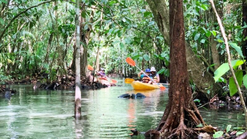 From Ao Nang: Kayaking at Klong Rud With Hotel Transfers - Pickup and Travel Details