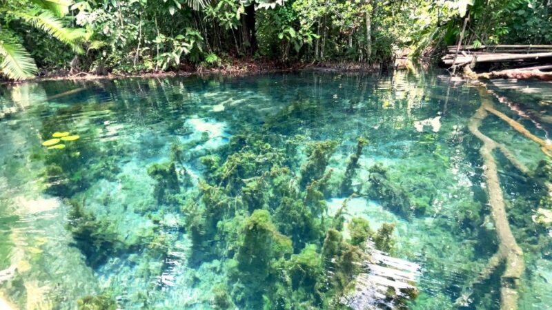 From Ao Nang: Kayaking at Klong Rud With Hotel Transfers - Swimming in the Lagoon